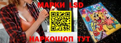 индика Можайск