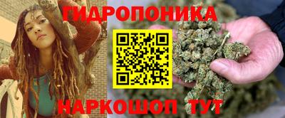 индика Можайск