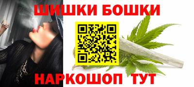 индика Можайск