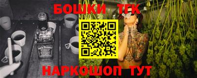 индика Можайск