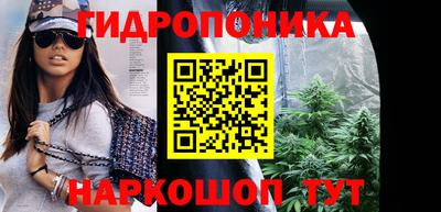 индика Можайск