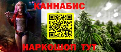 индика Можайск