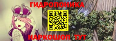 ешки Можга