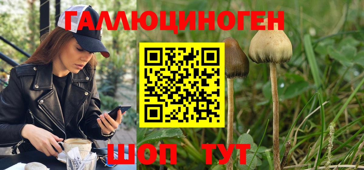 Владикавказ  Галлюциногенные грибы мухоморы  Галлюциногенные грибы Psilocybine cubensis  Вход с VPN 